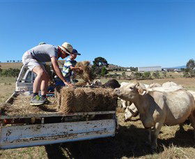 Bathurst Farm Experience - Accommodation Kalgoorlie 5