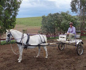 Bathurst Farm Experience - Accommodation Kalgoorlie 8
