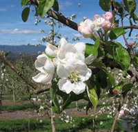 Mouat's Farm - Accommodation Kalgoorlie