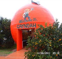 Gayndahs Big Orange - Accommodation Kalgoorlie
