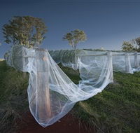 Toppers Mountain Wines - Accommodation Kalgoorlie