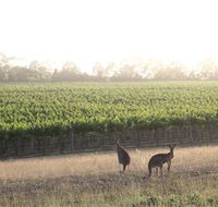 Small Forest Wine - Accommodation Kalgoorlie