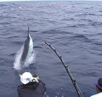 Amokura Charters - Accommodation Kalgoorlie