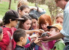 Blackbutt Reserve - Accommodation Kalgoorlie 2
