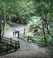 Blackbutt Reserve - Accommodation Kalgoorlie 3
