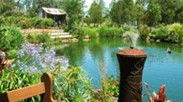 Gone Walkabout Safaris - Accommodation Kalgoorlie 0