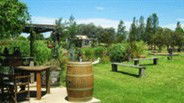 Gone Walkabout Safaris - Accommodation Kalgoorlie 2