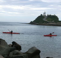 Newcastle Kayak Tours - Accommodation Kalgoorlie