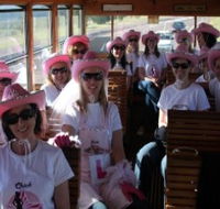 Newcastles Famous Tram - Accommodation Kalgoorlie
