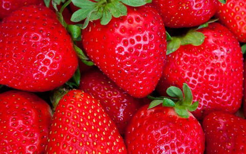 Newcastle City Farmers Markets - Accommodation Kalgoorlie 2