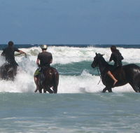 Pegasus Park Equestrian Centre