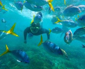 G Adventures - Accommodation Kalgoorlie 0