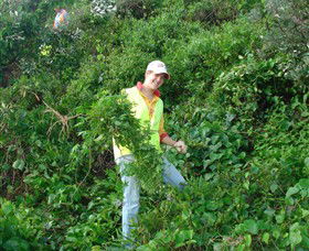 Conservation Volunteers Australia - Sydney - Accommodation Kalgoorlie 2
