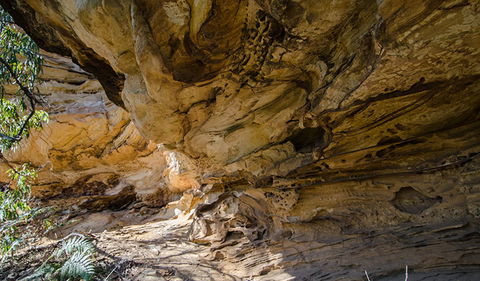 Marramarra National Park - Accommodation Kalgoorlie 0