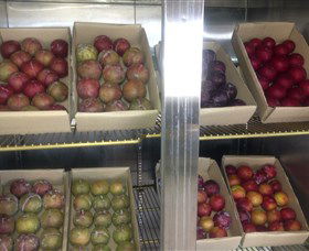 Canoelands Orchard - Accommodation Kalgoorlie 1