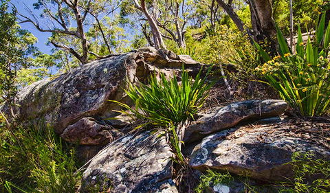 Canoelands Ridge Walking Track - Accommodation Kalgoorlie 1