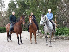 Academy Of Dressage - Accommodation Kalgoorlie 0