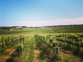 Adelaide Winemakers - Accommodation Kalgoorlie 0
