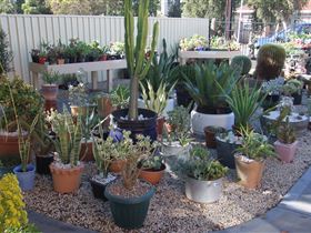 Cactus Creations - Accommodation Kalgoorlie 1
