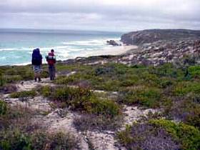 Seal Bay SA Accommodation Kalgoorlie