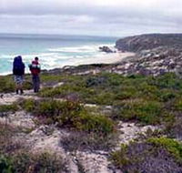 Murray Lagoon - Cape Gantheaume Conservation Park - Accommodation Kalgoorlie
