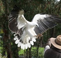 Raptor Domain - Accommodation Kalgoorlie