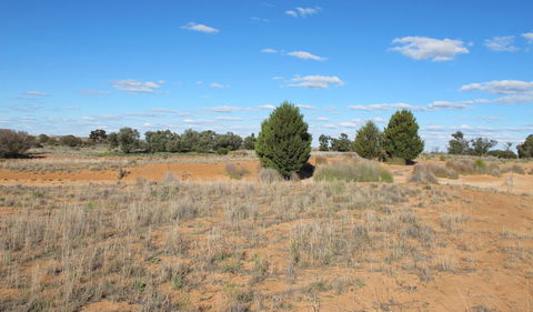 Zanci Pastoral Loop - Accommodation Kalgoorlie 3