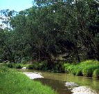 Salvator Rosa Section - Carnarvon National Park - Accommodation Kalgoorlie