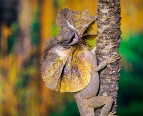 Territory Wildlife Park - Accommodation Kalgoorlie 1