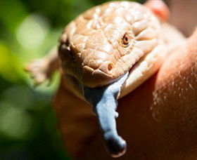 Territory Wildlife Park - Accommodation Kalgoorlie 5