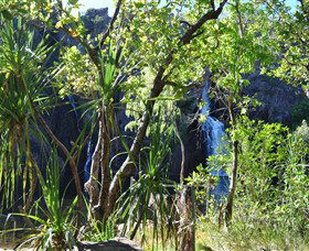 Manngarre Rainforest Walk - Accommodation Kalgoorlie 1