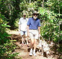 Wongabel State Forest - Accommodation Kalgoorlie