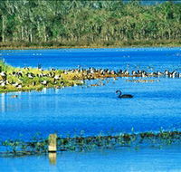 Hasties Swamp National Park - Accommodation Kalgoorlie
