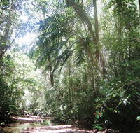 Mount Lewis National Park - Accommodation Kalgoorlie