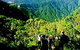 Eungella National Park - thumb 3