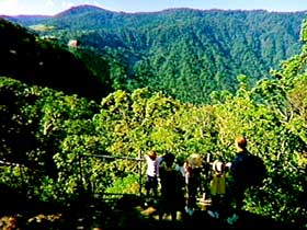 Eungella National Park - Accommodation Kalgoorlie 3