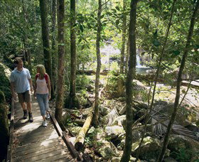 Eungella National Park - Accommodation Kalgoorlie 2
