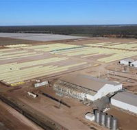 Southern Cotton Gin - Accommodation Kalgoorlie