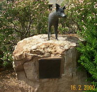 Dingo Statue - Accommodation Kalgoorlie