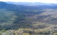 Mia Mia State Forest - thumb 1