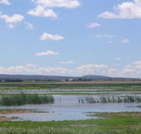 Fivebough Wetlands - Accommodation Kalgoorlie
