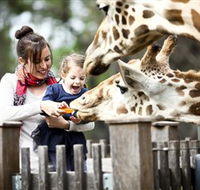 Taronga Western Plains Zoo Dubbo