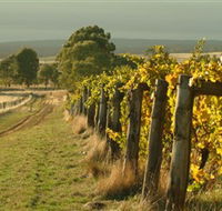 Captains Creek Organic Wines - Accommodation Kalgoorlie