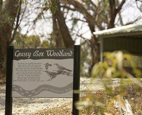 Coolamon NSW Accommodation Kalgoorlie