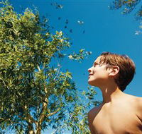 Birdwatching on Keswick Island - Accommodation Kalgoorlie