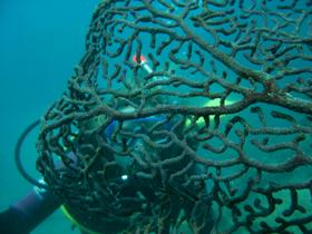 Fairey Reef - Accommodation Kalgoorlie 3