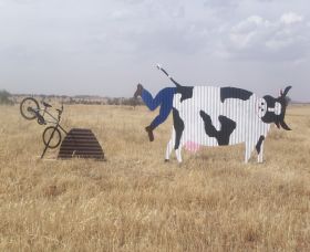 Animals On Bikes - Accommodation Kalgoorlie 1