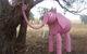 Animals On Bikes - thumb 2