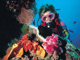 Great Barrier Reef - Whitsundays - Accommodation Kalgoorlie 1