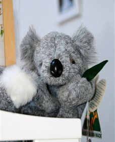 Timboon Toybox - Accommodation Kalgoorlie 1